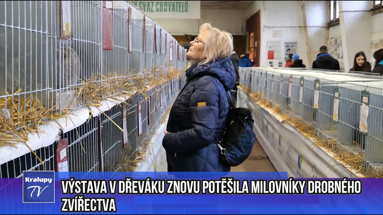 Kralupy TV: Výstava v Dřeváku znovu potěšila milovníky drobného zvířectva (18. 2. 2026)