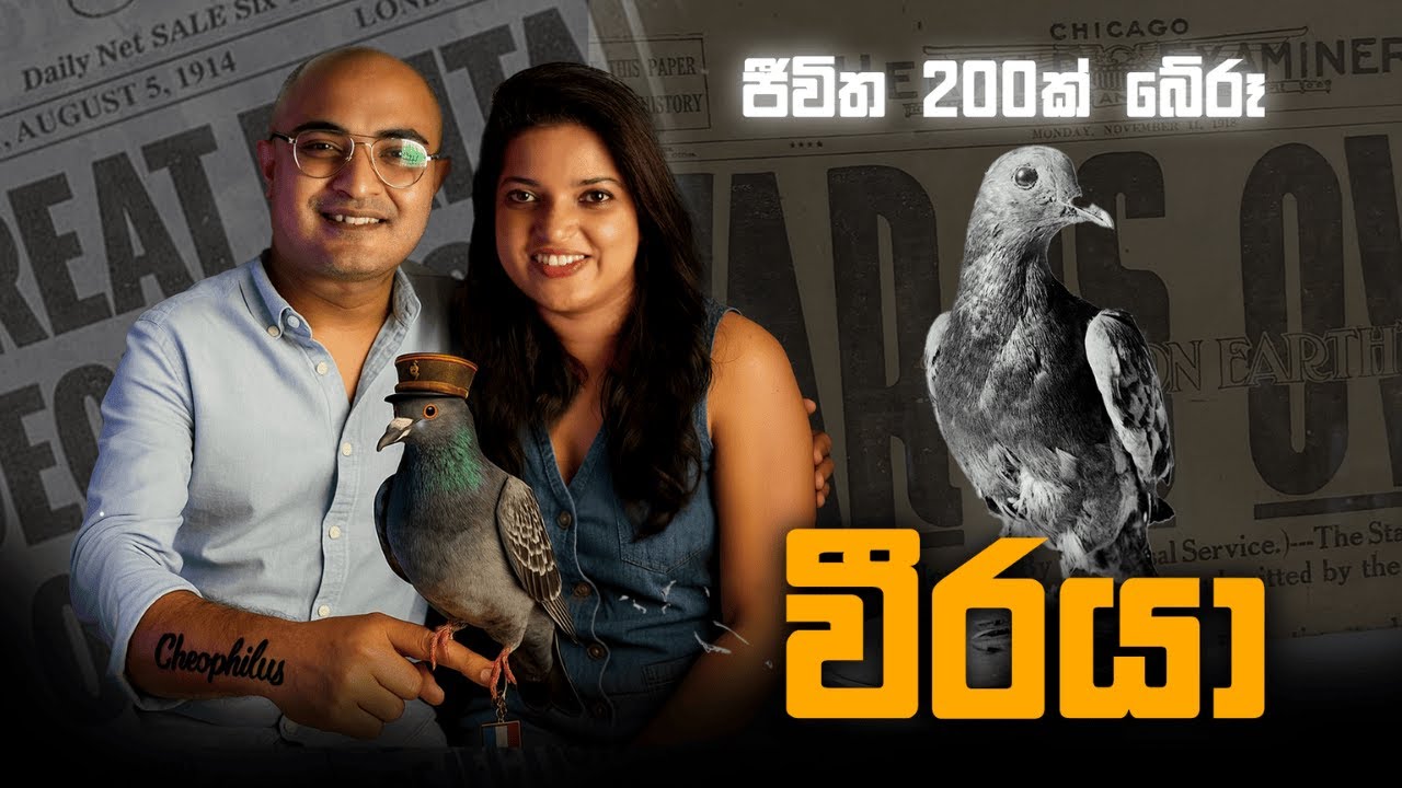 ජීවිත 200ක් බේරූ වීරයා | The bird that saved 200 lives 🕊️ The Pigeon CHER AMI