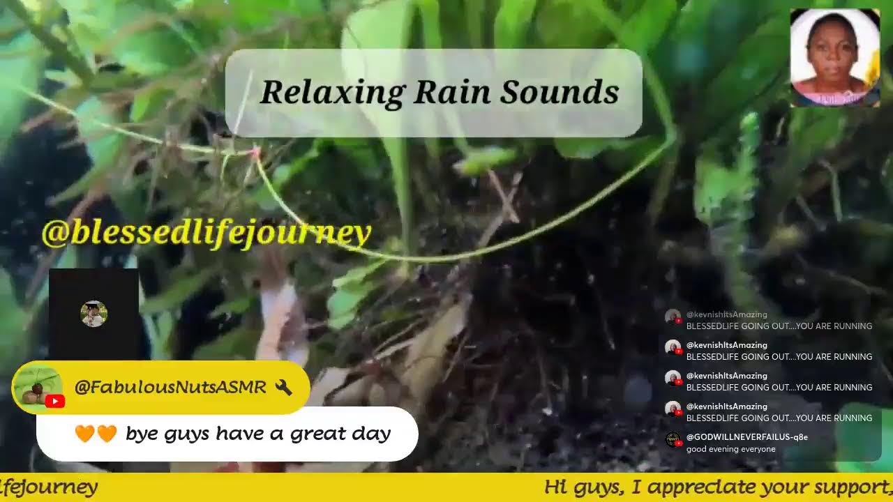 Lets Relax and vibes in chat part 168 - Cozy Rain Sounds & Lush Green Aquascape | Deep Relaxationrt