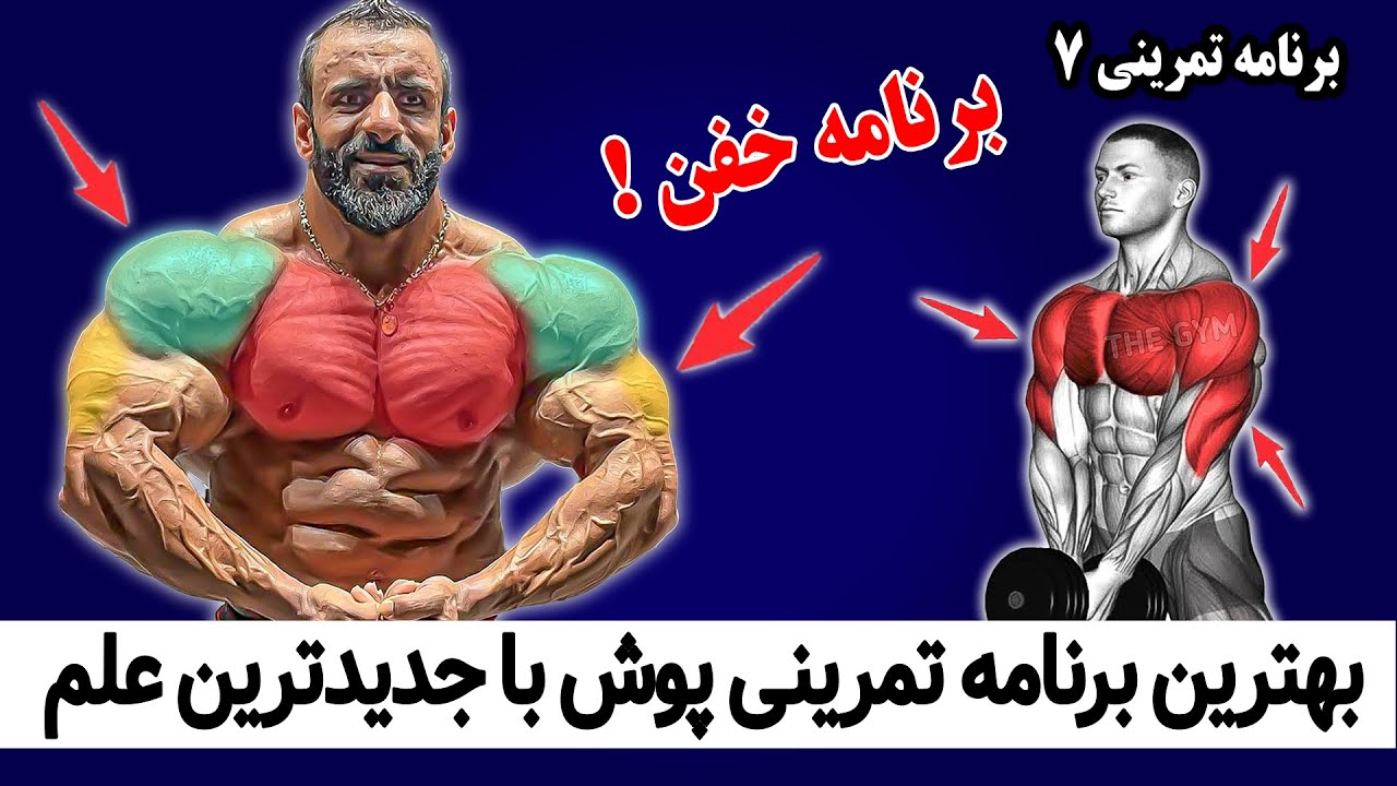 خفنترین برنامه تمرینی روز سینه و سرشانه و پشت بازو با جدیدترین علم بدنسازی - برنامه تمرینی 7