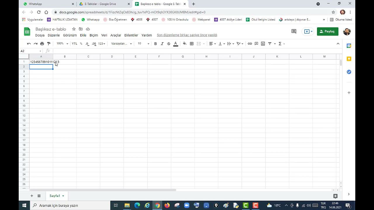 Google E Tablolarda Veri Girişi ve Satır Sütun İşlemleri