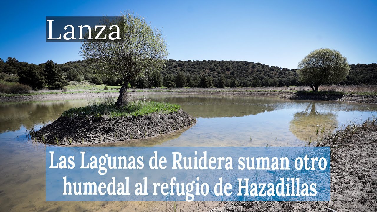 Las Lagunas de Ruidera suman un nuevo humedal al refugio de fauna de Hazadilla