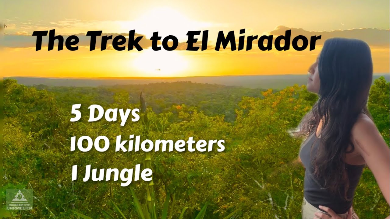 Disappearing into the jungle (el mirador documentary)