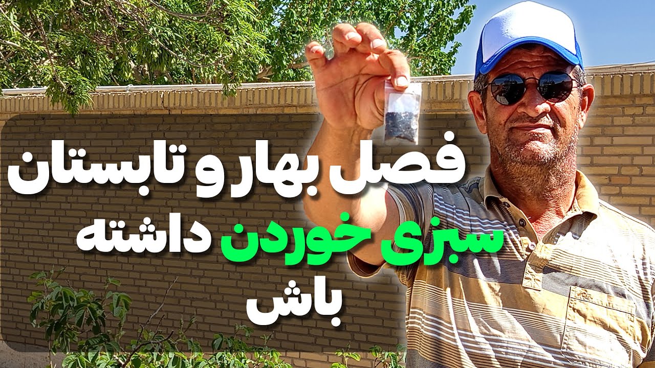 آموزش کاشت سبزی خوردن در باغچه خانه