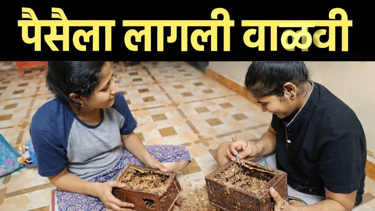 Day_35 पैशाला लागली वाळवी 😱Money Infested by Termites#marathi#youtuber #lossmoney
