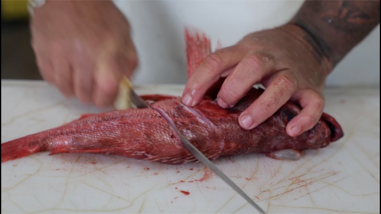 How to prep and cook a whole Rockfish
