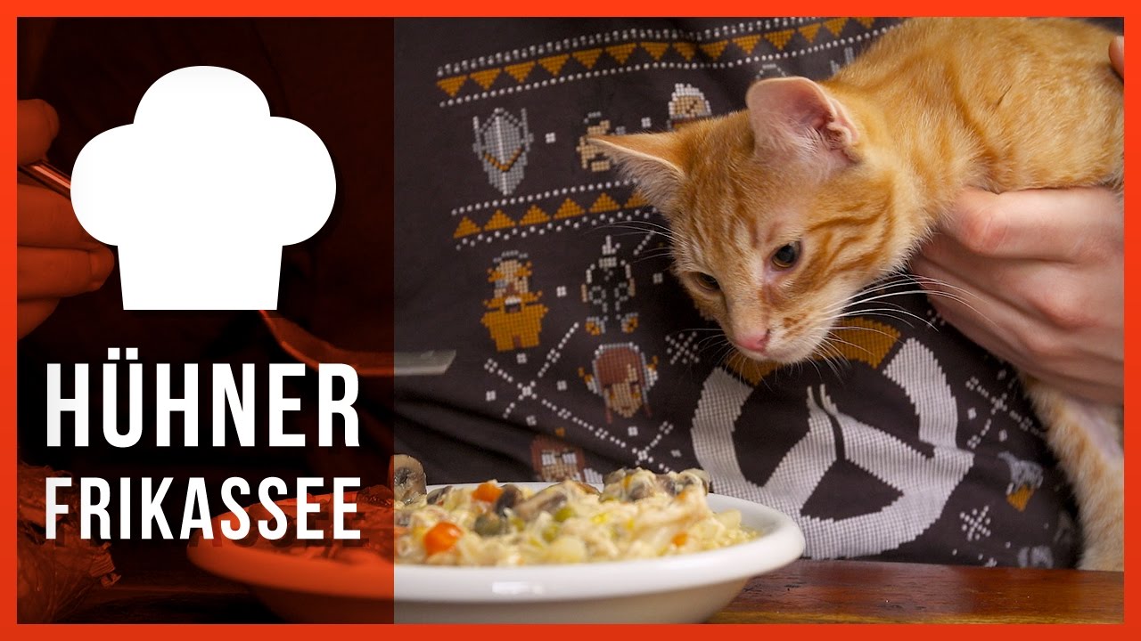 Hühnerfrikassee aus Katzen!? (Voll kein Click Bait)