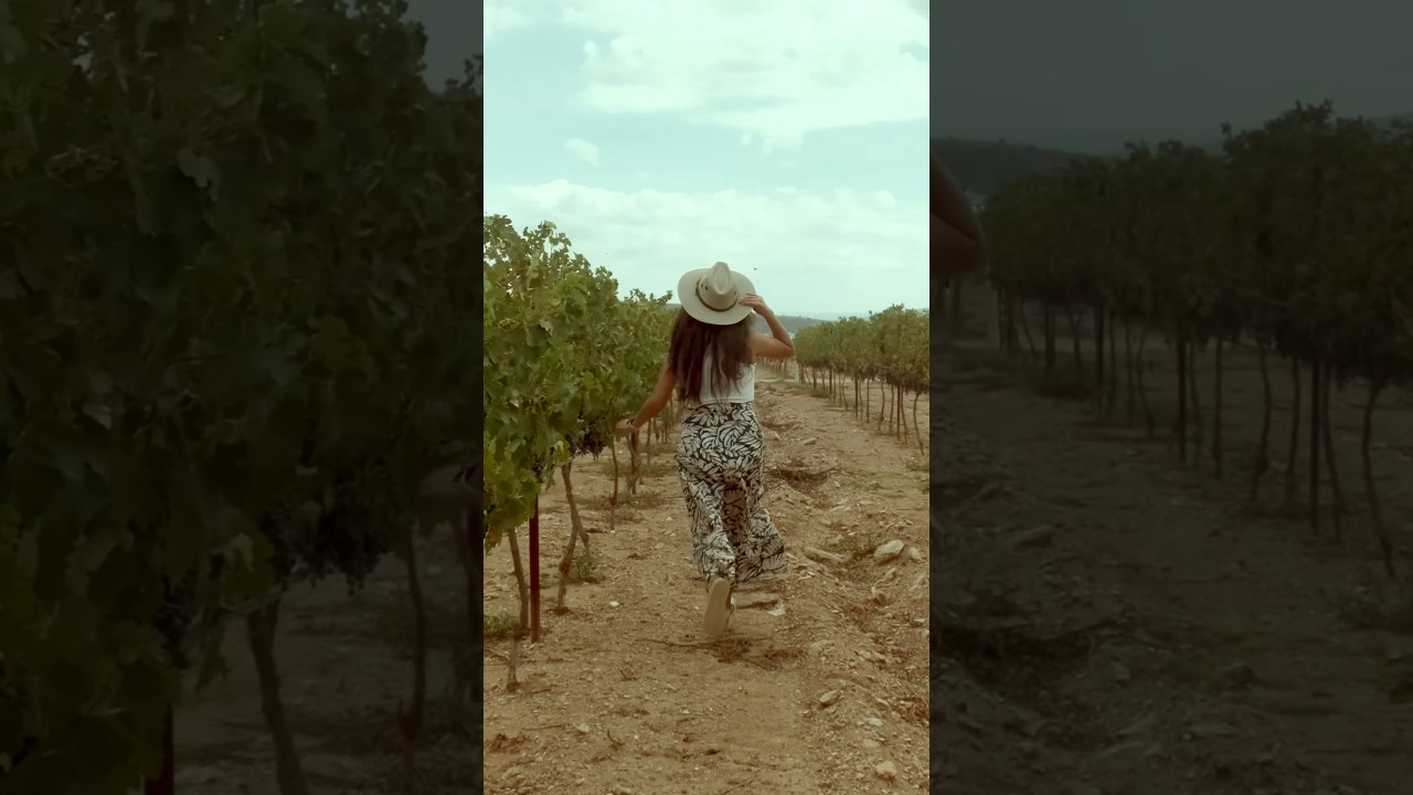 Vi&ntilde;edos la Redonda #Queretaro #vinos #vendimia #vi&ntilde;edos #pisadodeuvas