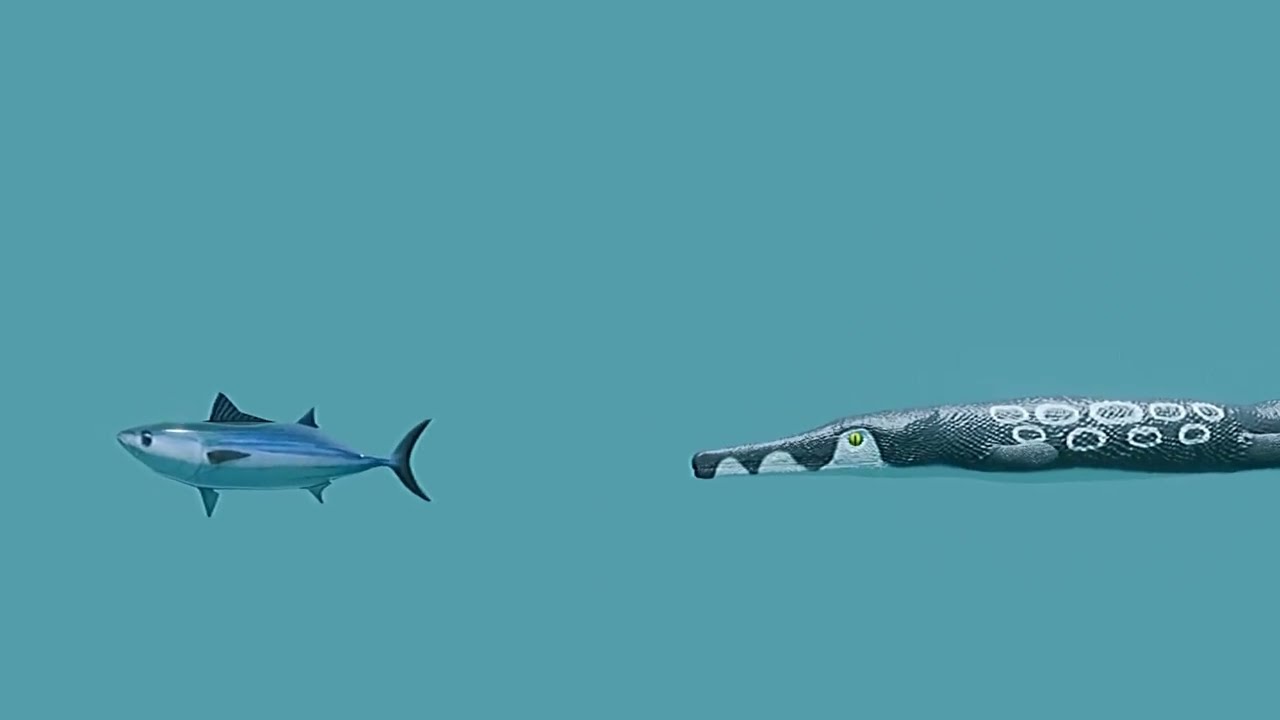 Cricosaurus Hunting