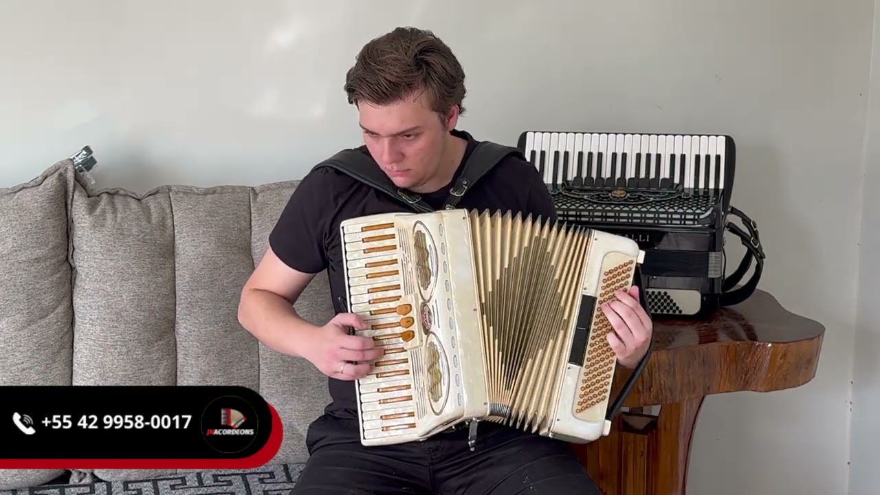 Acordeon Excelsior 120 baixos reduzida