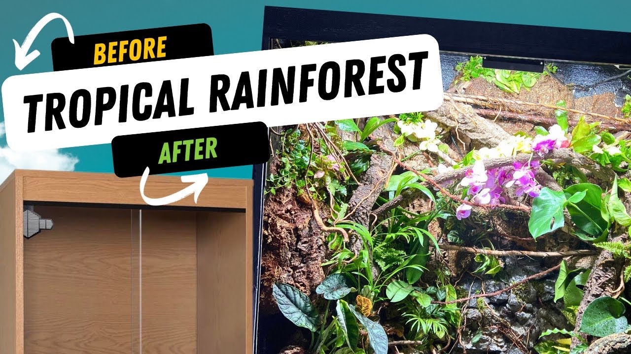 I made a Tropical Rainforest ecosystem, this happened!