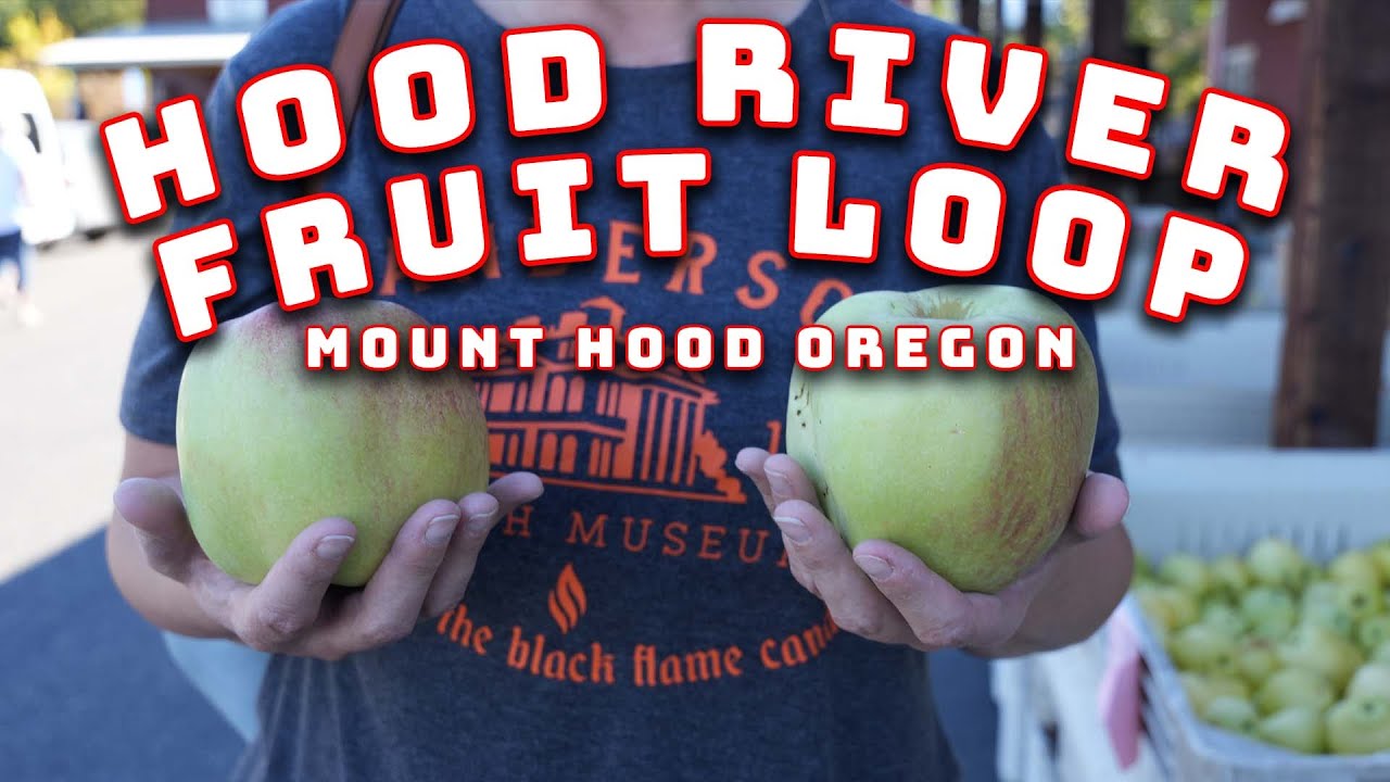 Fruit Loop Hood River Oregon 2023 Orchards, food and more!