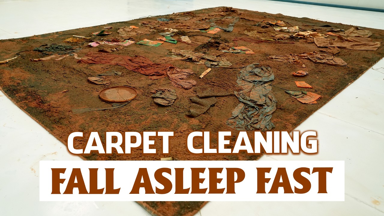 Carpet Cleaning for Sleeping – Peaceful ASMR Ambience for Deep Night Sleep