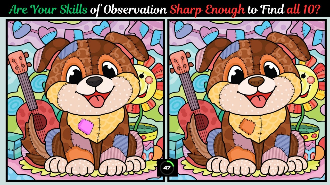 Find 10 Differences Cute Stuffed Patched Animals Mini Brain Break Challenge