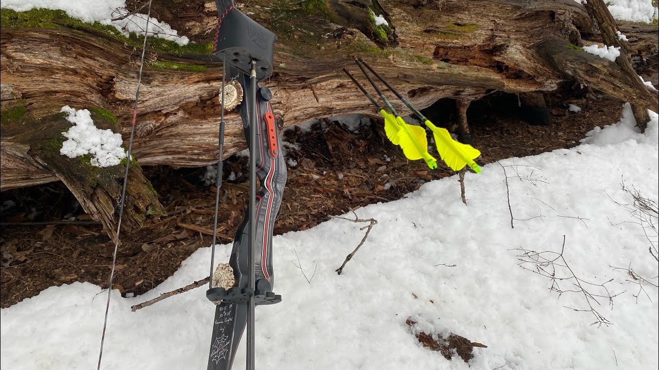Stump Shooting in Fresh Snow | Road to New Brunswick | Traditional Bowhunting