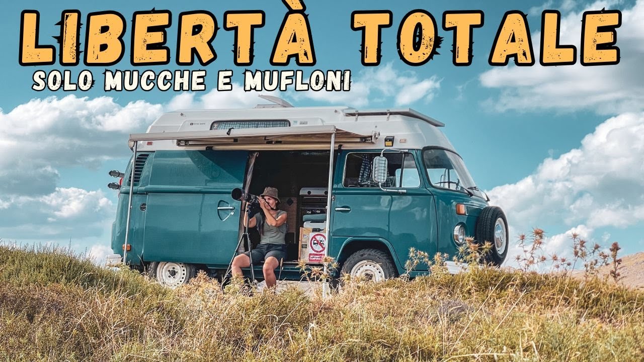 OFFROAD sulle cime della SARDEGNA: solo Mucche, Mufloni e strade INCREDIBILI