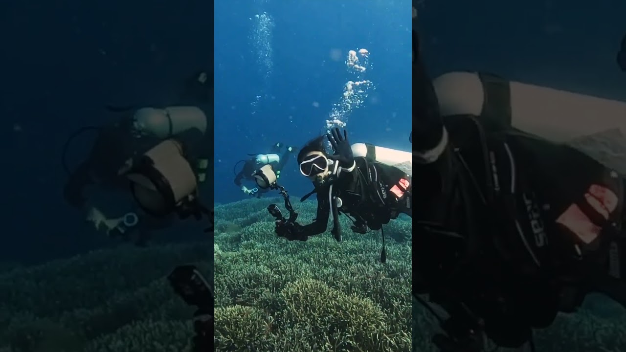 Komodo May 2024 with Mikumba Diving