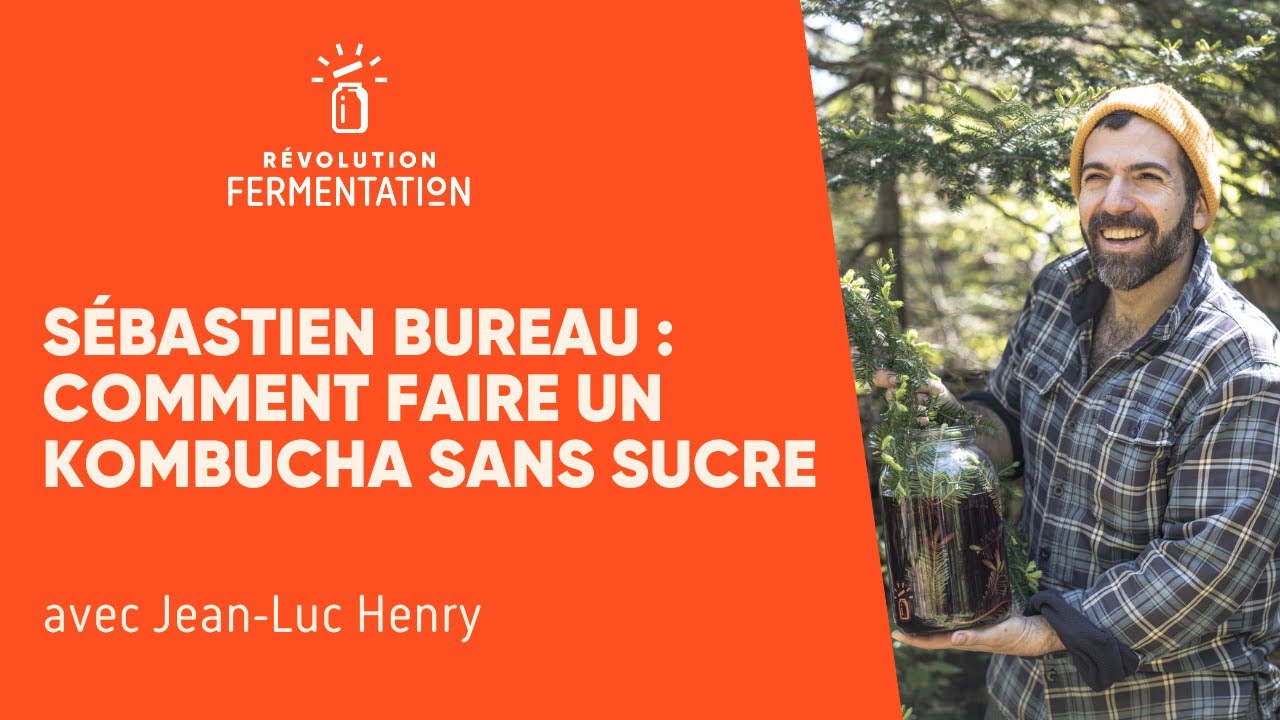 Faire un kombucha sans sucre avec Sébastien Bureau (avancé)