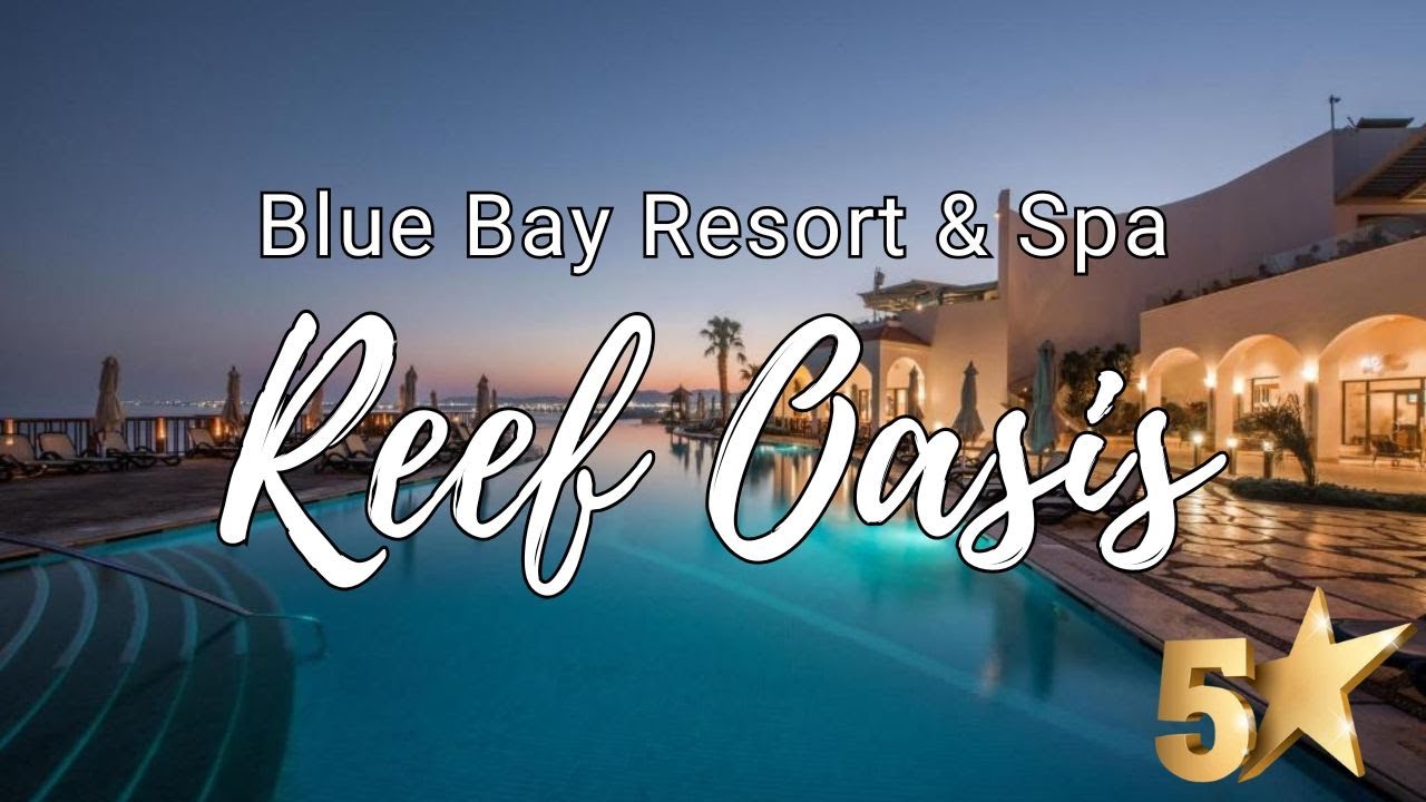 Потрясающие виды! Обзор Reef Oasis — Reef Oasis Blue Bay 2025