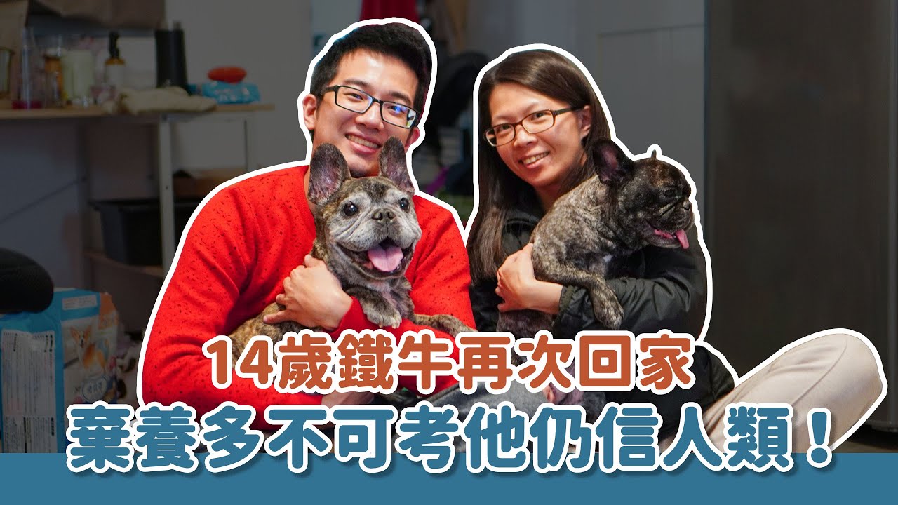 14歲的鐵牛再次回家棄養次數多不可考，他仍相信人類！