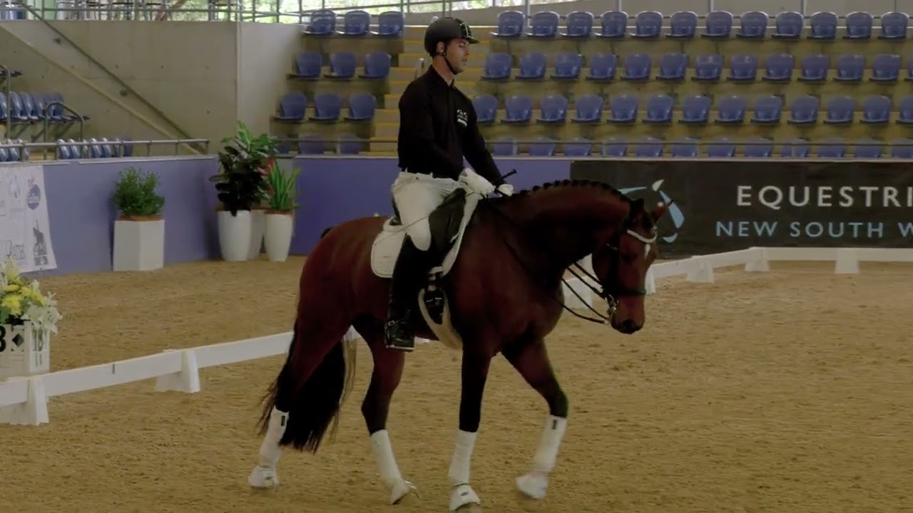 2023 Sydney CDI Masterclass - 7yo Young Horse - Johannes Holtzhausen