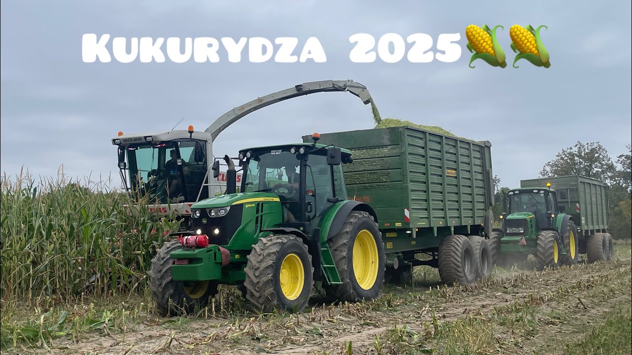 Kukurydza 2025🌽🔥 Rozrzutniki bokiem 🔥🚨