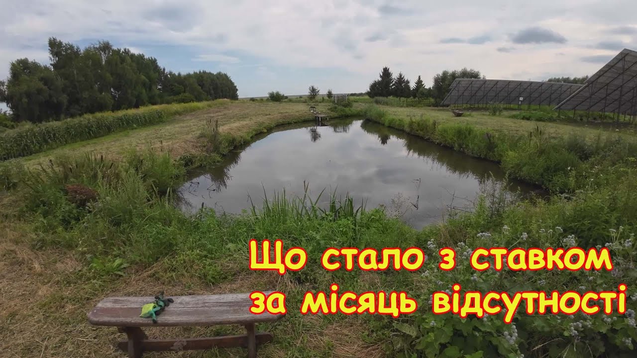 Не їздив на свій ставок більше як місяць, що з ним стало?!
