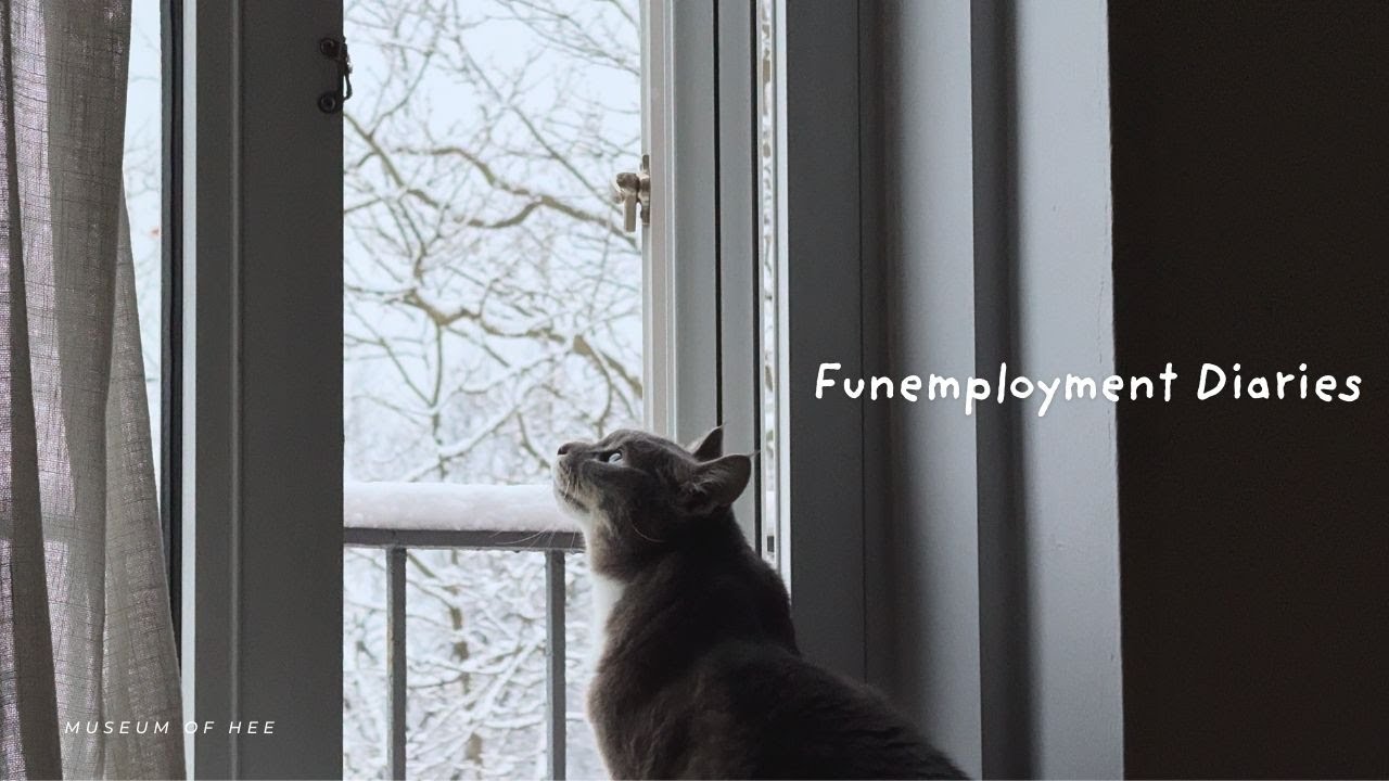 Funemployment Diaries | recovery vlog, job interview, city hall wedding | 평화로운 일상, 면접, 시청결혼식 💒