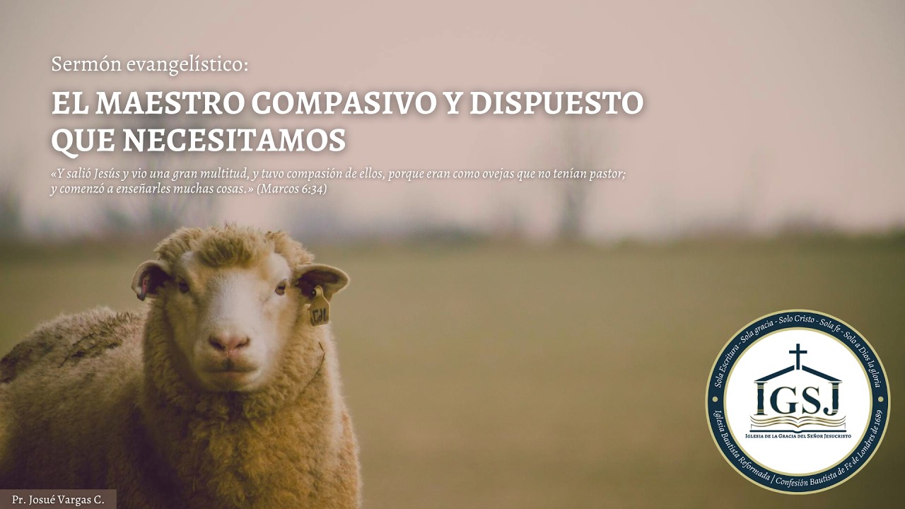 El Maestro compasivo y dispuesto que necesitamos | Marcos 6:34