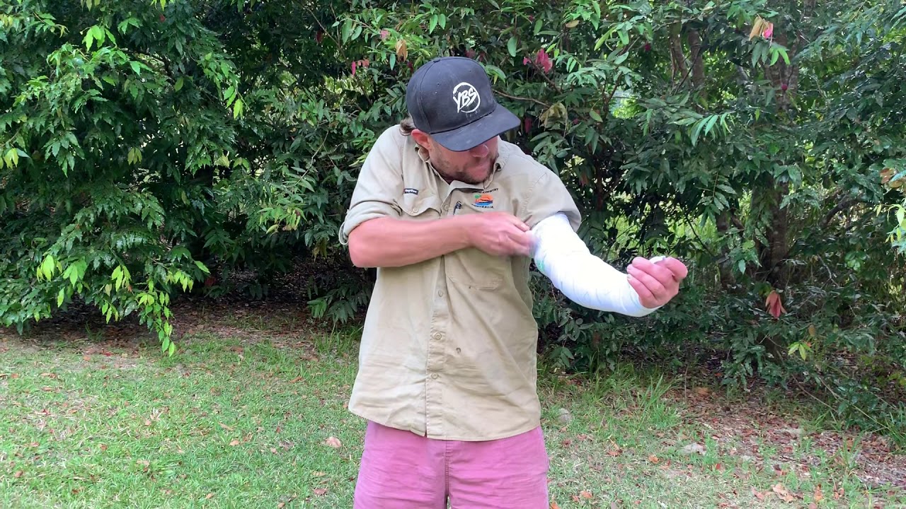 Snake bite first aid