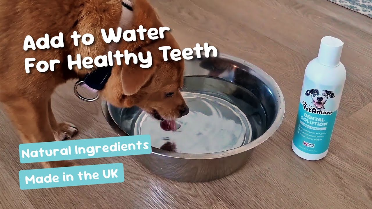PetAmaze Dental Solution Water Additive for Dogs
