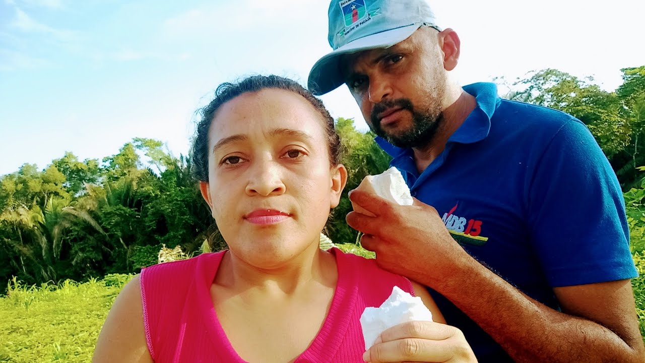 Palmito do coqueiro babaçu 