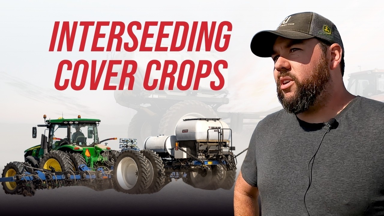 Salford Valmar 6056 Cover Crop: A Growers Review