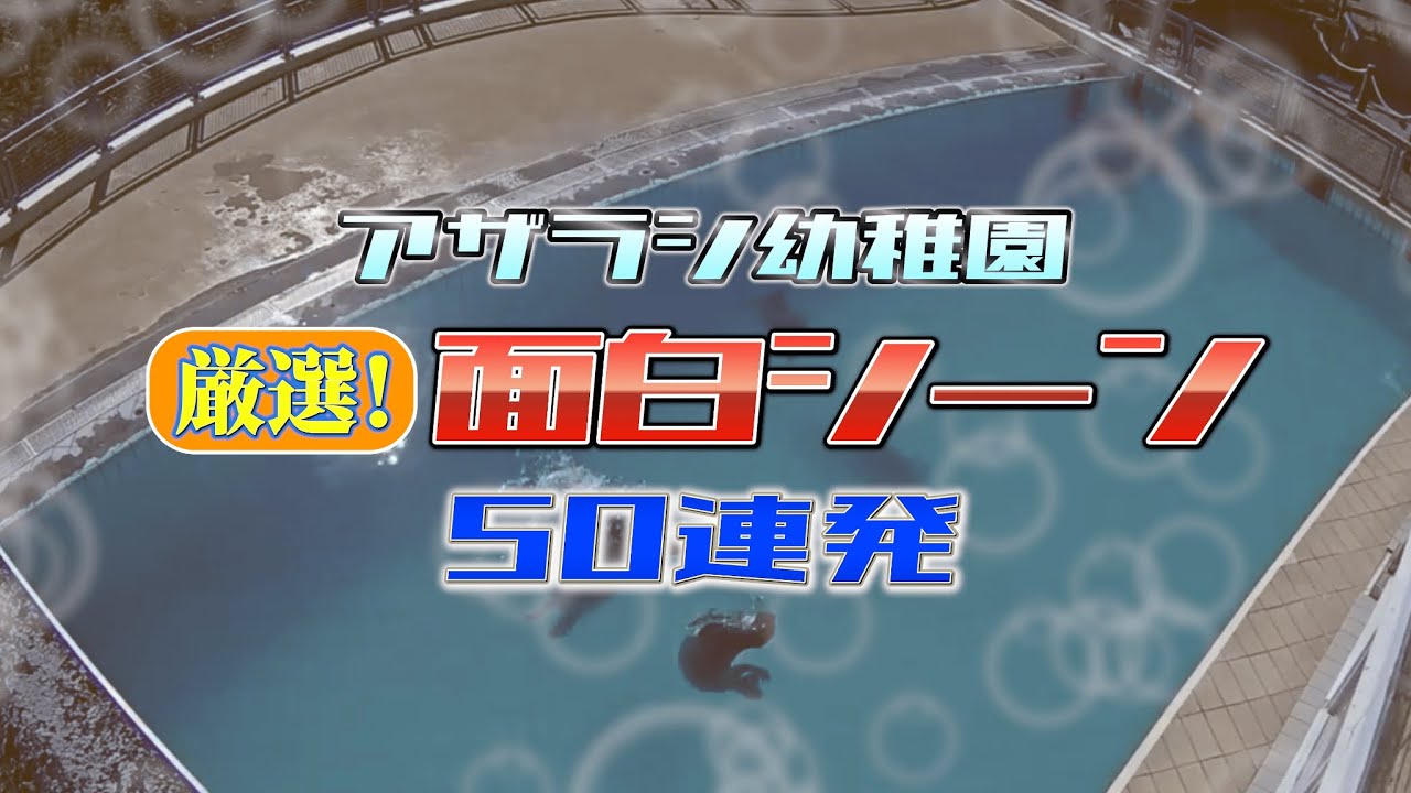【アザラシ幼稚園】厳選！面白シーン50連発