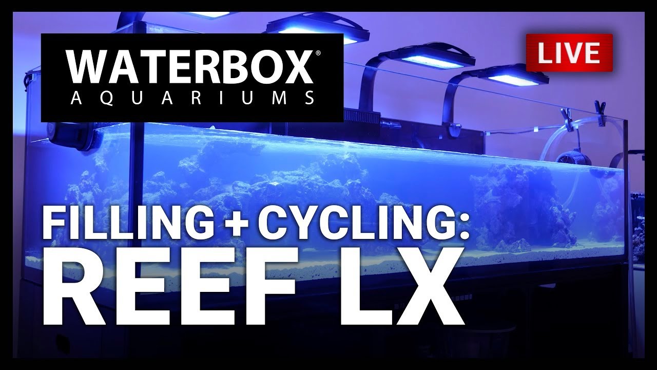 EP07 | Preparing Saltwater and Starting the Cycle. A Guide to Large Reef Aquariums