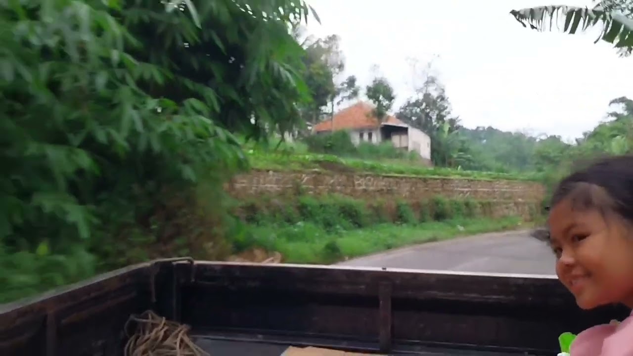 NGABUBURIT KELILING KEBUN TEH