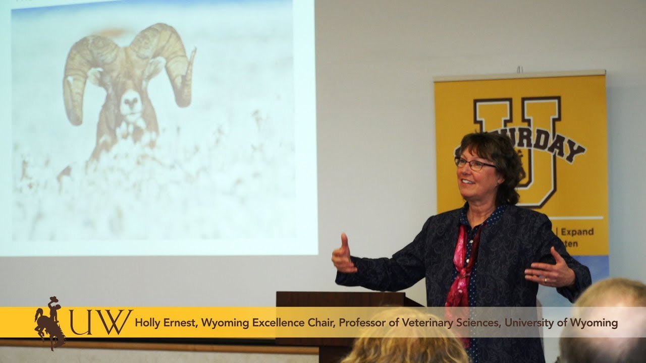 Holly Ernest at Saturday U -- Genomic Testing: Good for Humans, Good for Wildlife