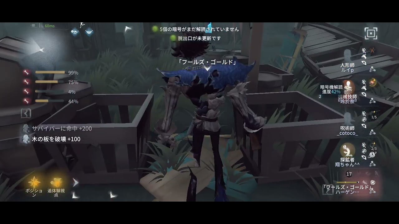 フルゴ日記 初めてのマルチ