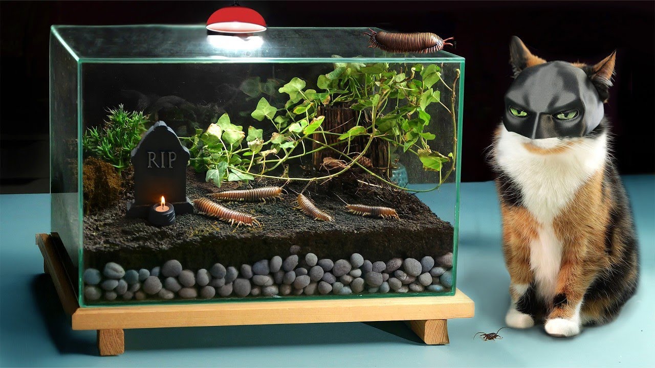 900 TAGE OHNE NAHRUNG – ÖKOSYSTEM IN EINEM VERSCHLOSSENEN TERRARIUM I FINAL VIDEO