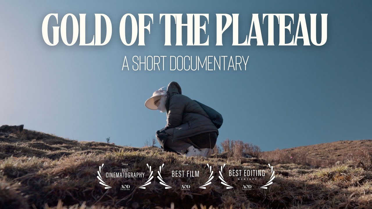 Gold of the Plateau | Short Documentary by 
