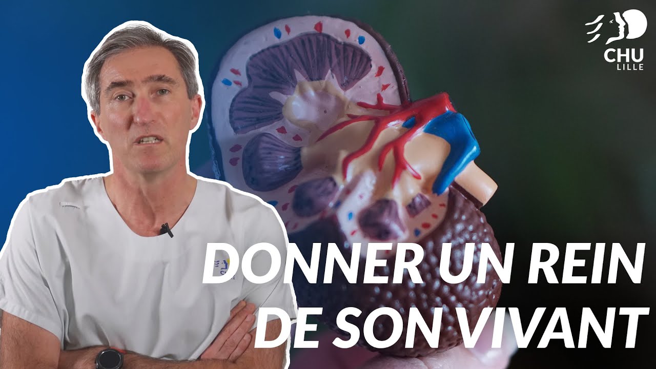 Donner un rein de son vivant