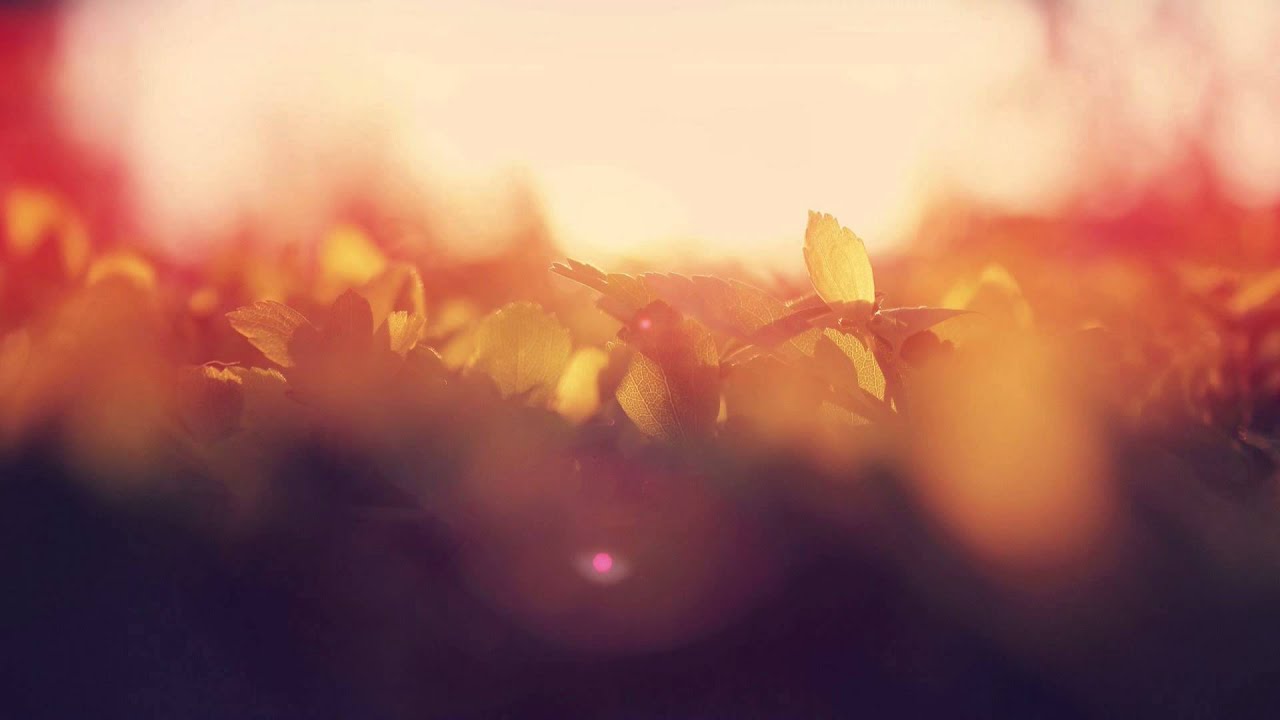 Bizov – Layer Cake (Original Mix)