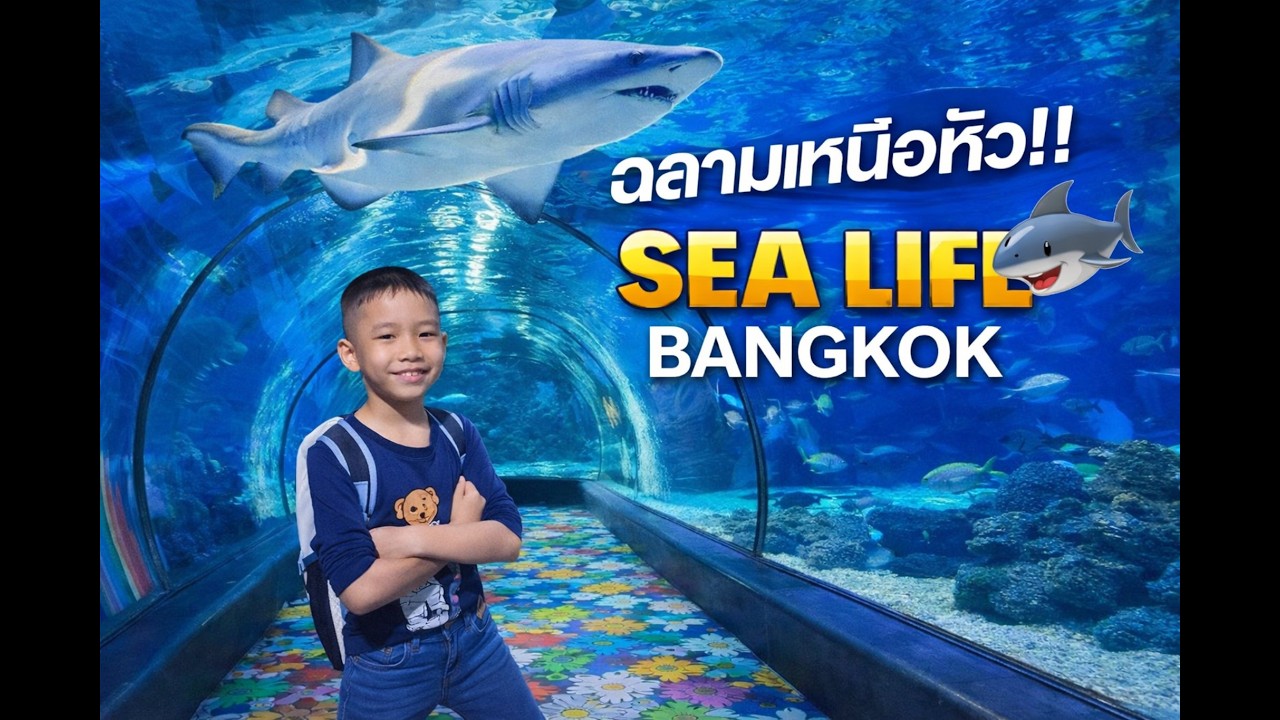 พาเที่ยว Sea Life Bangkok Ocean World ดูปลาทะเลยักษ์! | Korn Smile Food & Travel