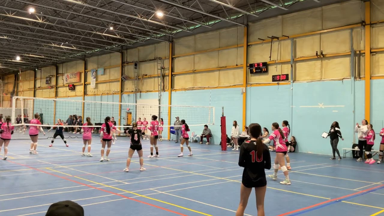 Synergy 16s