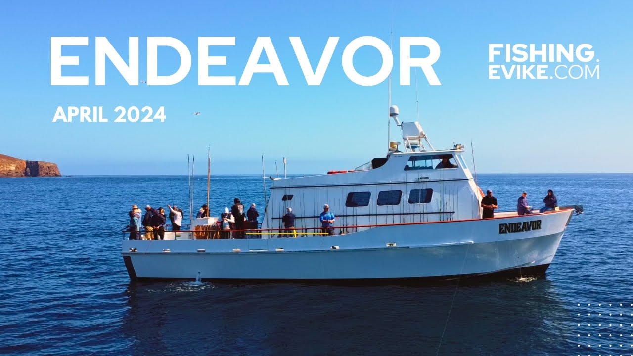 41lb Halibut and Quality Rockfish! Overnight Trip on the Endeavor - Fishing.Evike.com Charter