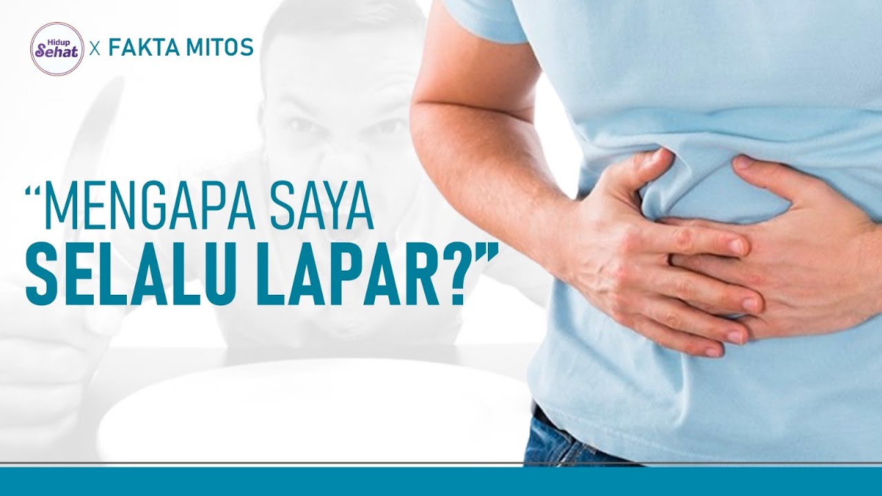 Cepat Lapar? Ini 3 Alasan Perut Anda Sering Keroncongan | Hidup Sehat tvOne