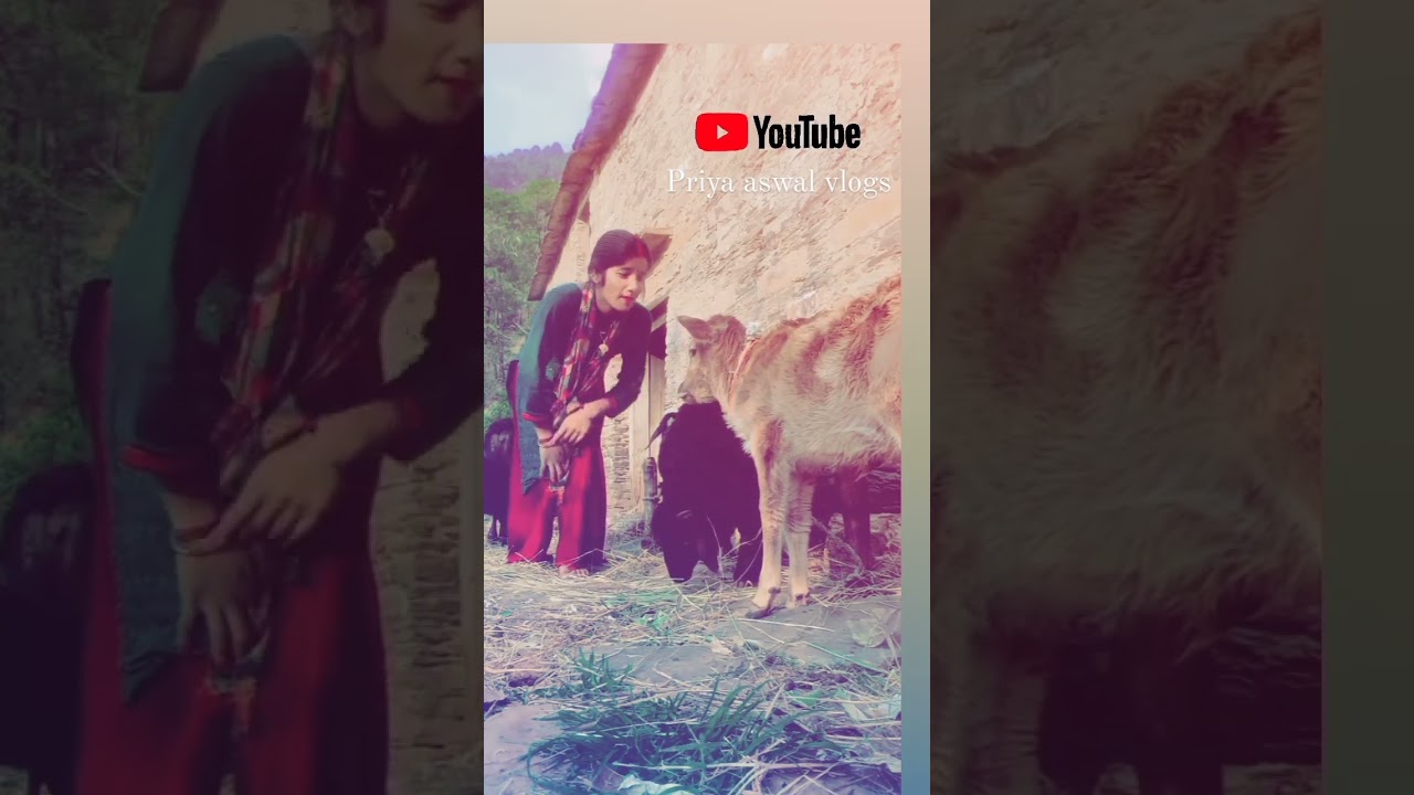 tair panchar