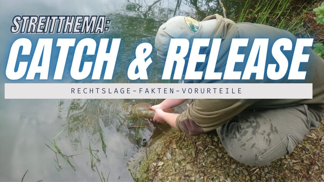Streitthema ,,Catch and Release