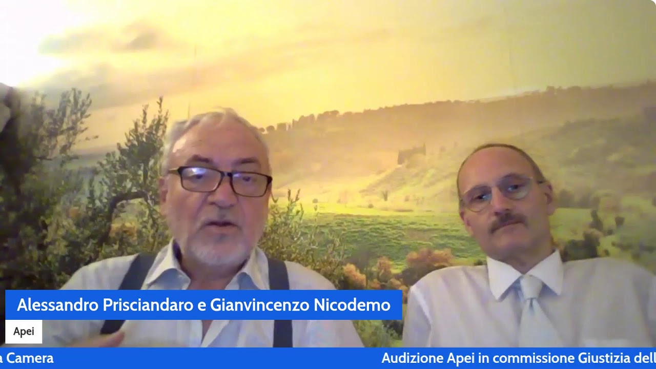DIRETTA DA MONTECITORIO AUDIZIONE APEI 2 COMMISSIONE GIUSTIZIA, PARTECIPAZIONE GRATUITA