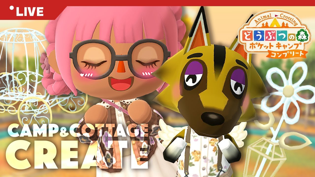 【ポケ森コンプリート】11月のお昼クリエイトを楽しもう🍁【どうぶつの森】